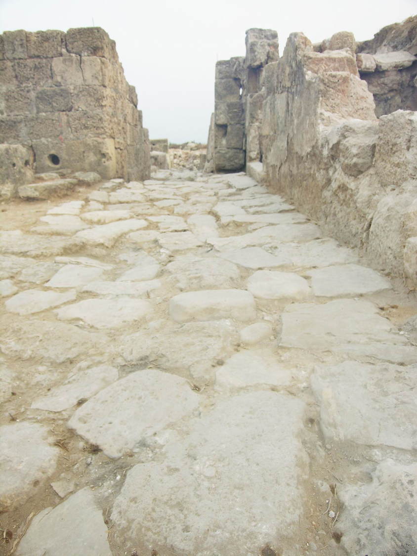 usługi archeologiczne liban